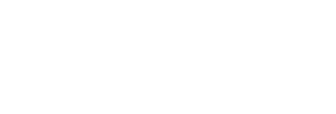 Anni Head Spa Logo